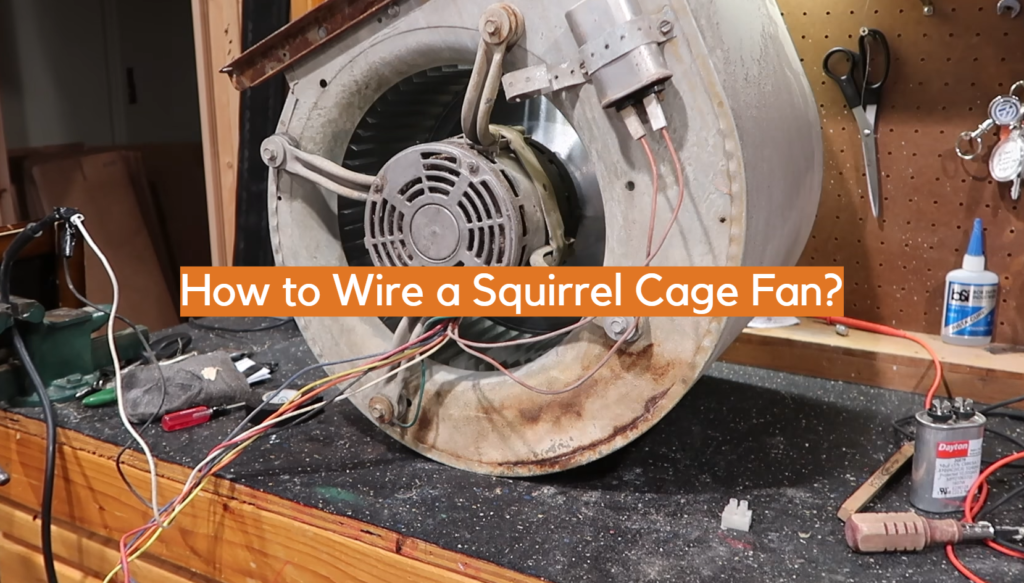 ¿Cómo conectar un ventilador de jaula de ardilla?