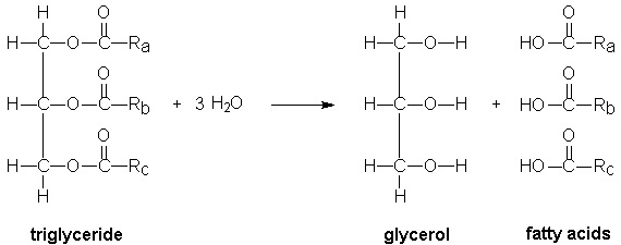 ¿El aceite es conductor?