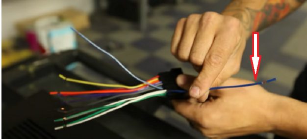 Dónde conectar el cable remoto del amplificador (5 vías)