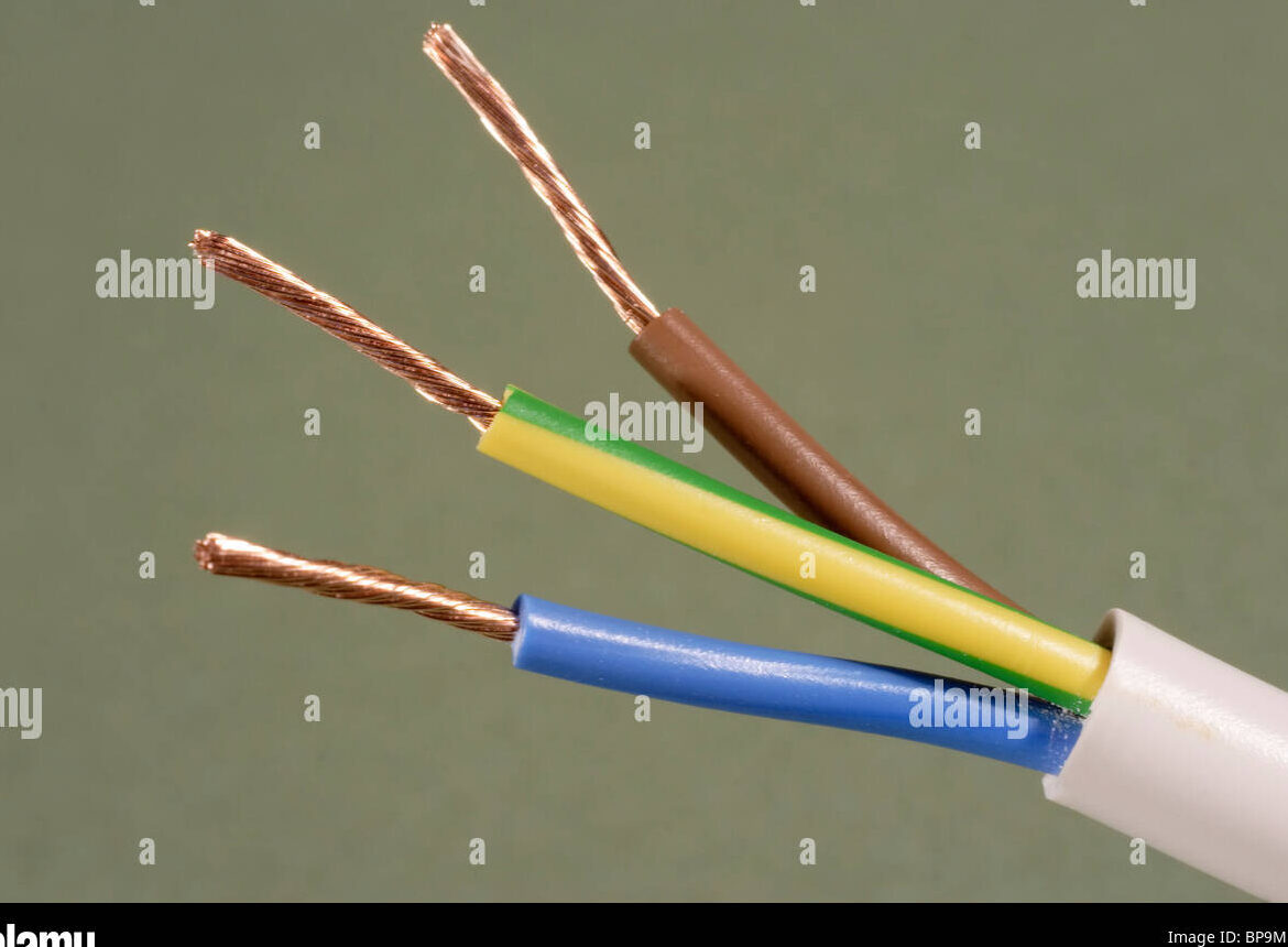 cable eléctrico de doble núcleo y tierra azul marrón y amarillo Stock ...